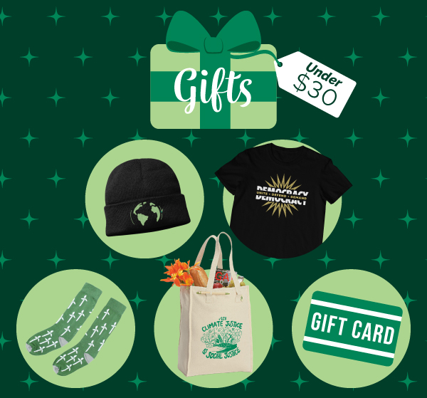 Gifts under $30: Globe beanie, democracy tee, wind power socks, climate justice tote, gift card