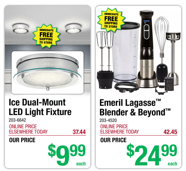 Ice Dual-Mount LED Light Fixture - ONLY $9.99! Emeril Lagasse™ Blender & Beyond™ - ONLY $24.99!