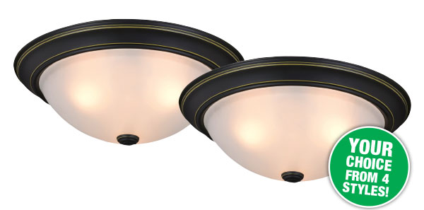 2-Pack Ceiling Light