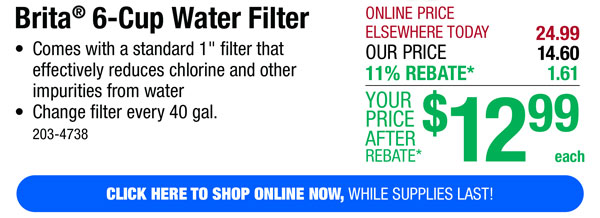 Brita® 6-Cup Water Filter -ONLY $12.99 After Rebate*!