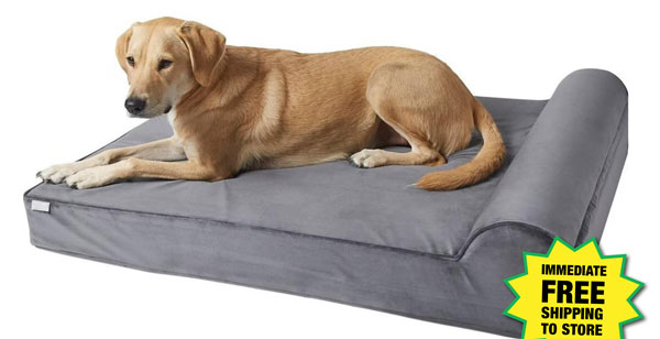 Frisco® Orthopedic Chaise Dog Bed - Free Shipping To Store! 