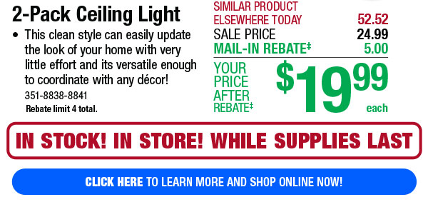 2-Pack Ceiling Light - Click Here!