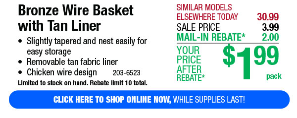 Bronze Wire Basket with Tan Liner - Free Shipping To Store!