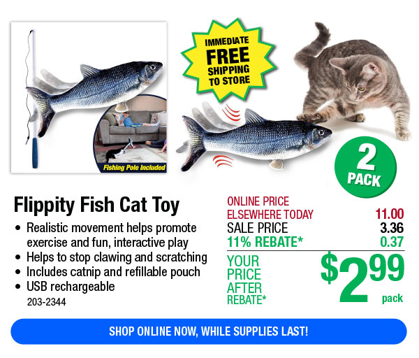 Flippity Fish Cat Toy