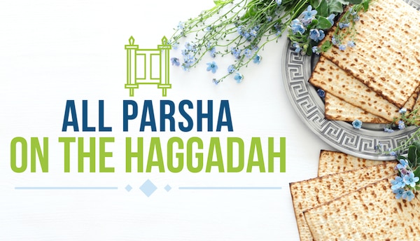 All Parsha on the Haggadah